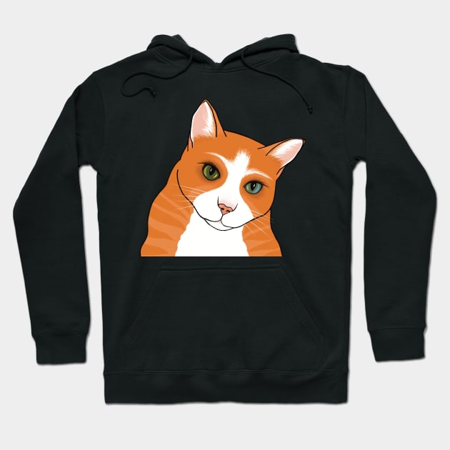 The Cute Ginger cat watching you seems a bit worried Hoodie by marina63